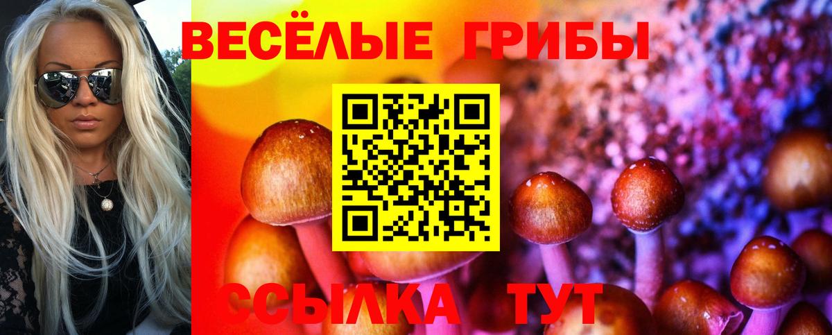 Галлюциногенные грибы Magic Shrooms Волгоград